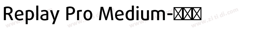 Replay Pro Medium字体转换
